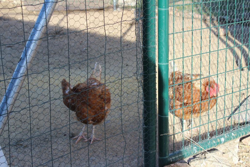 Finca El Enebro Valdemorillo Kültér fotó
