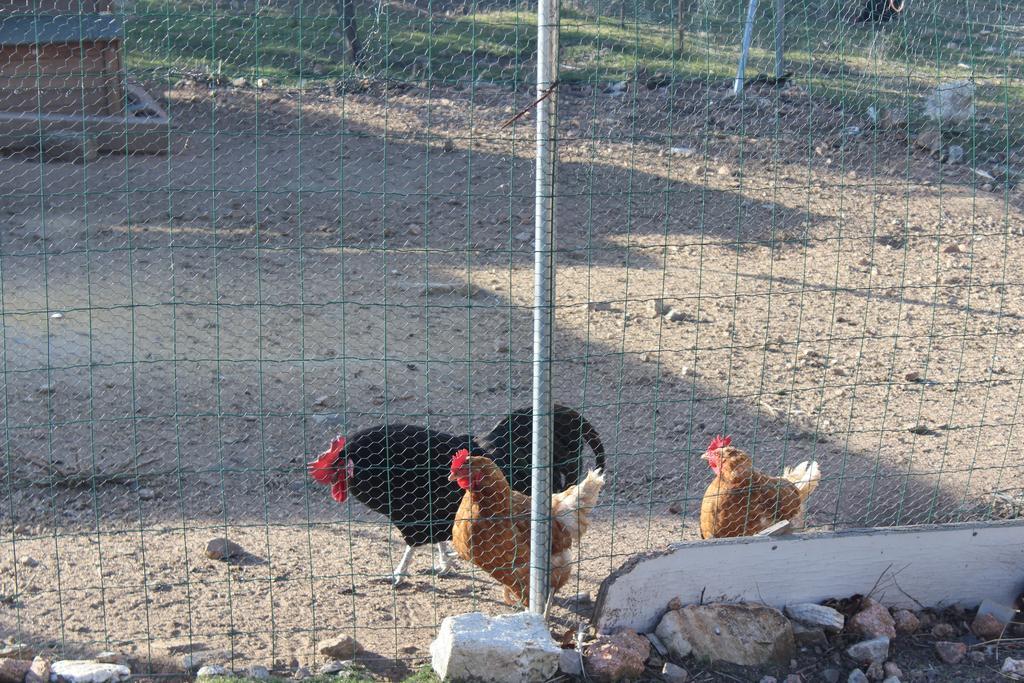 Finca El Enebro Valdemorillo Kültér fotó