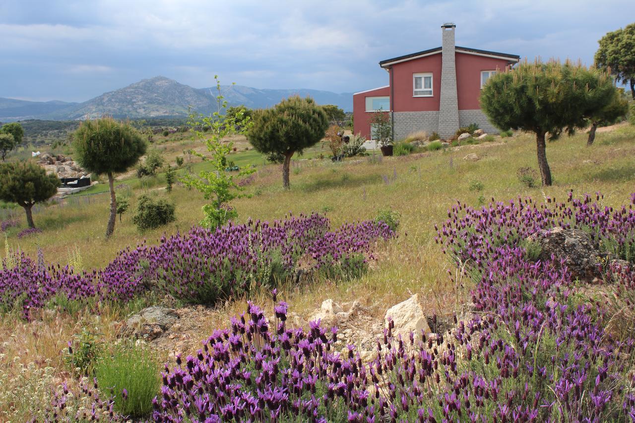 Finca El Enebro Valdemorillo Kültér fotó