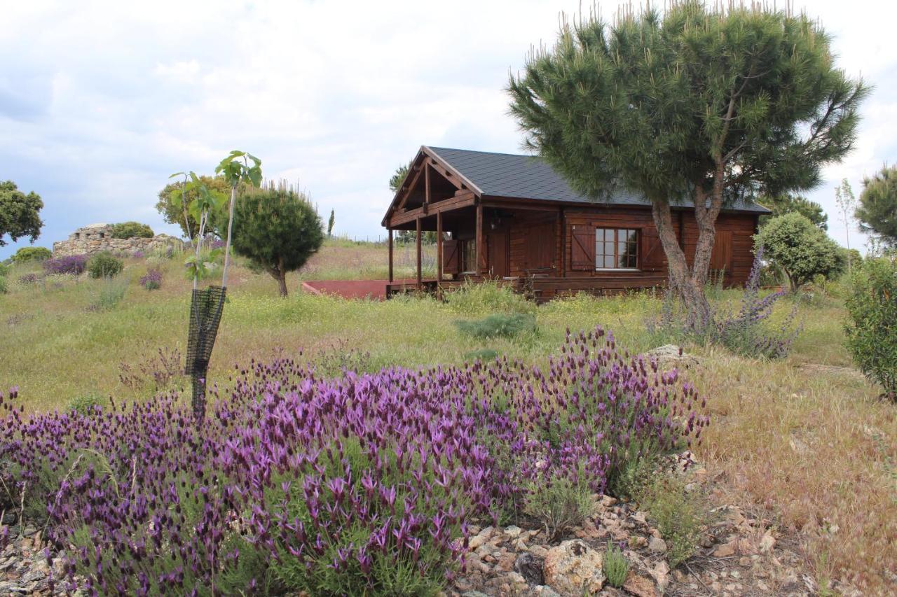 Finca El Enebro Valdemorillo Kültér fotó